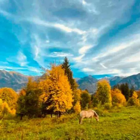 Ferienwohnung Ostrach Im Allgaeu Mit Bergblick Und Garten Daire *