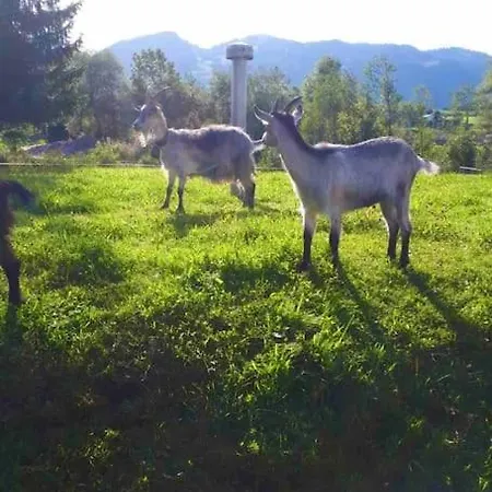 Daire Ferienwohnung Ostrach Im Allgaeu Mit Bergblick Und Garten