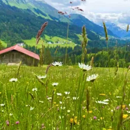 Ferienwohnung Ostrach Im Allgaeu Mit Bergblick Und Garten Sonthofen